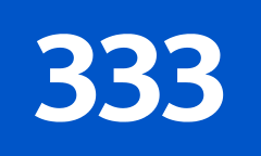 B333