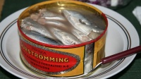 Surströmming - Hareng fermenté suédois