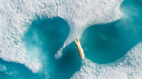 Au-dessus de l'ours polaire_ Florian Ledoux - SkyPixel