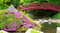 jardin japonais - parc Albert Kahn