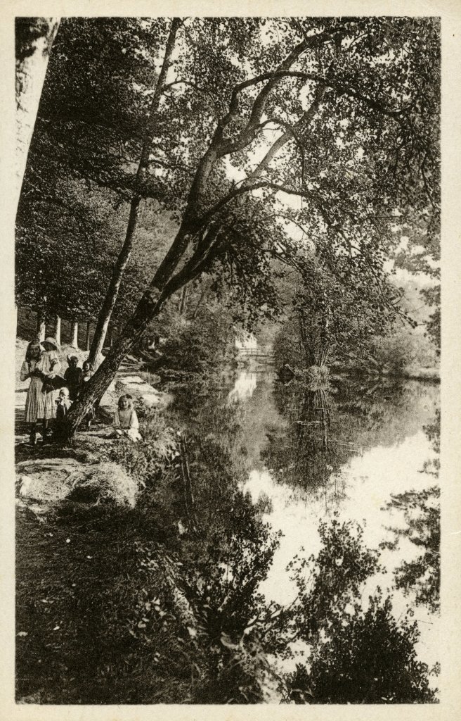 Vue du Bois d’Amour, Carte postale noir et blanc - Collection Musée de Pont-Aven 