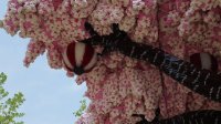 Cherry Blossom LEGO tree detail