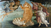 botticelli-the-birth-of-venus-cat-sm
