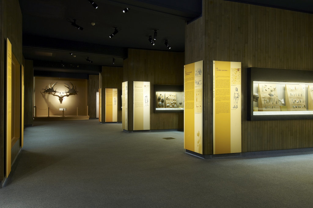 Vue des collections permanentes - Musée national d'archéologie, Saint Germain en Laye (1)
