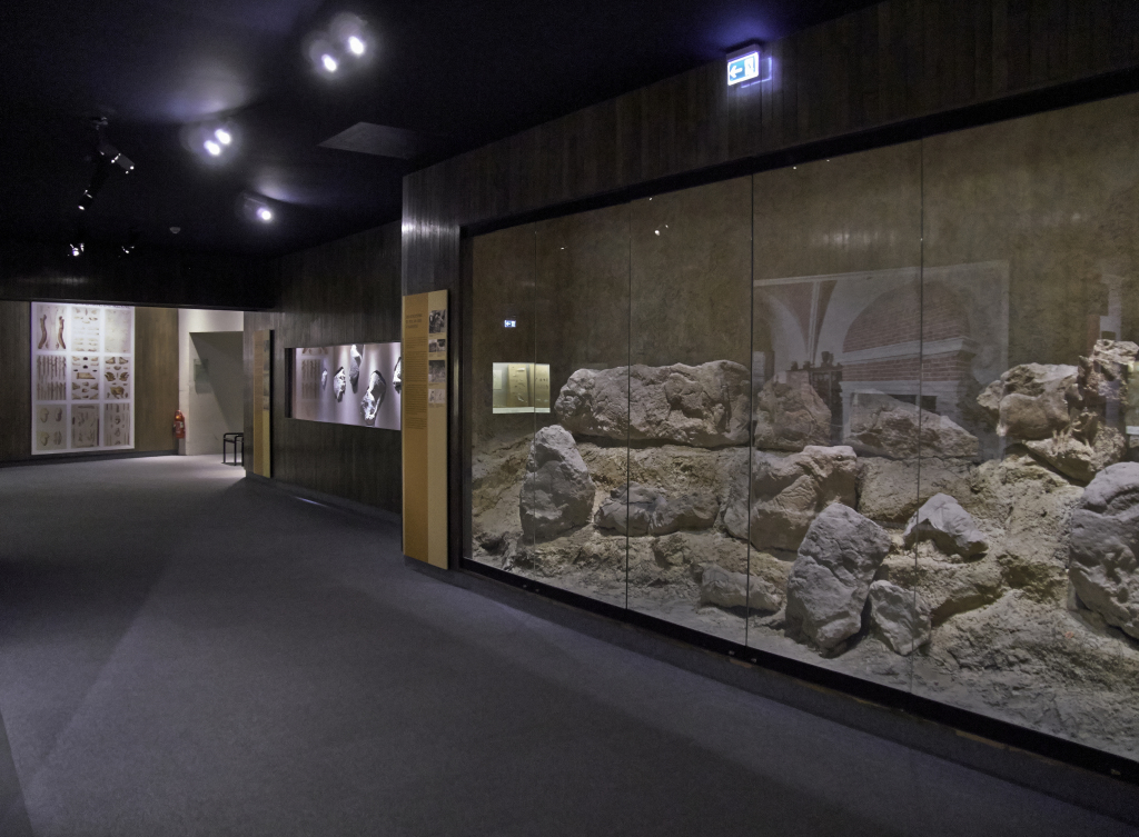 Vue des collections permanentes - Musée national d'archéologie, Saint Germain en Laye (13)