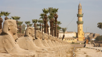 L'avenue des Sphinxs, route Al-Kabbash, (c) Tom Blackie
