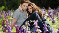 Bella & Edward © Tous droits réservés
