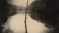 Deep South, Untitled, 1998 © Courtesy of the New Orleans Museum of Art Collection of H. Russel Albright, MD © Sally Mann