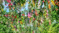 Bercy Village x Les Naturistes - Suspensions florales #1