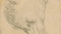 Christie's Tête d'ours Léonard de Vinci