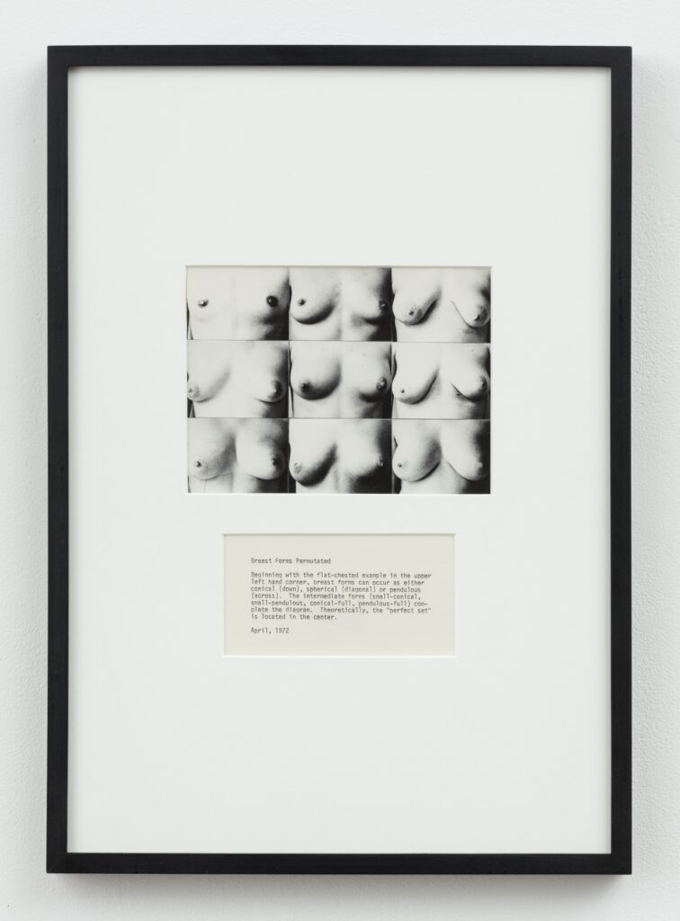 Martha Wilson, Breast Forms Permutated, 1972