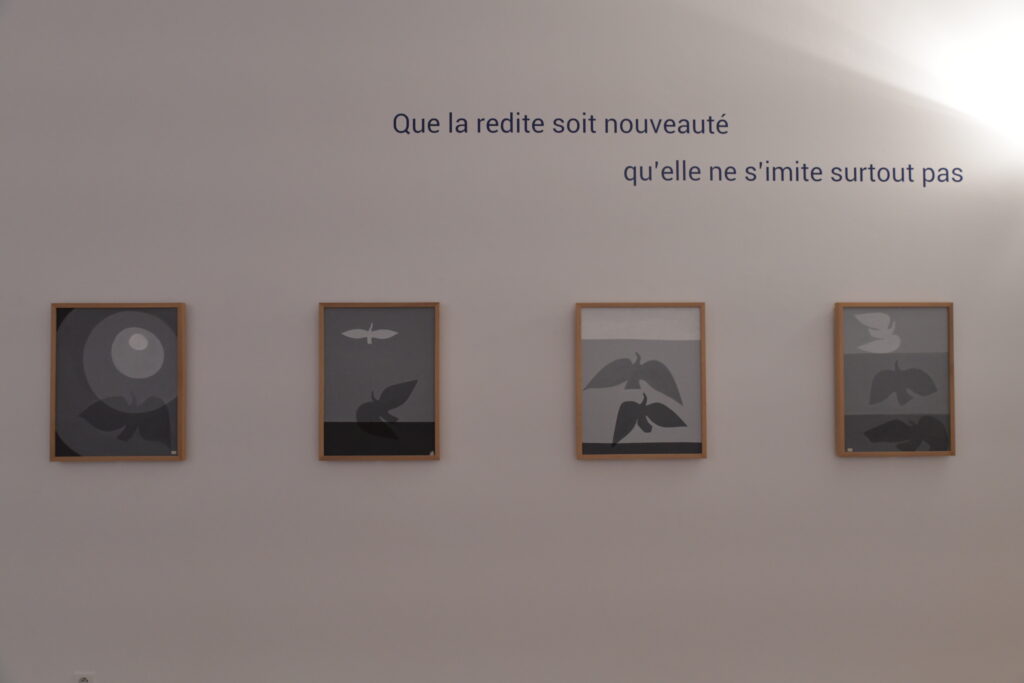 Vue de l'exposition des 100 ans de PAB, Musée Pierre-André Benoît 