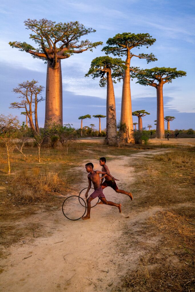 Morondava, Madagascar, 2019, Steve McCurry