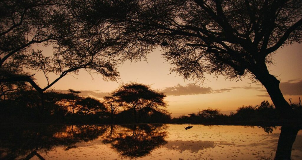 Un étang de la savane de la Vallée du Rift, au sud du Kenya.