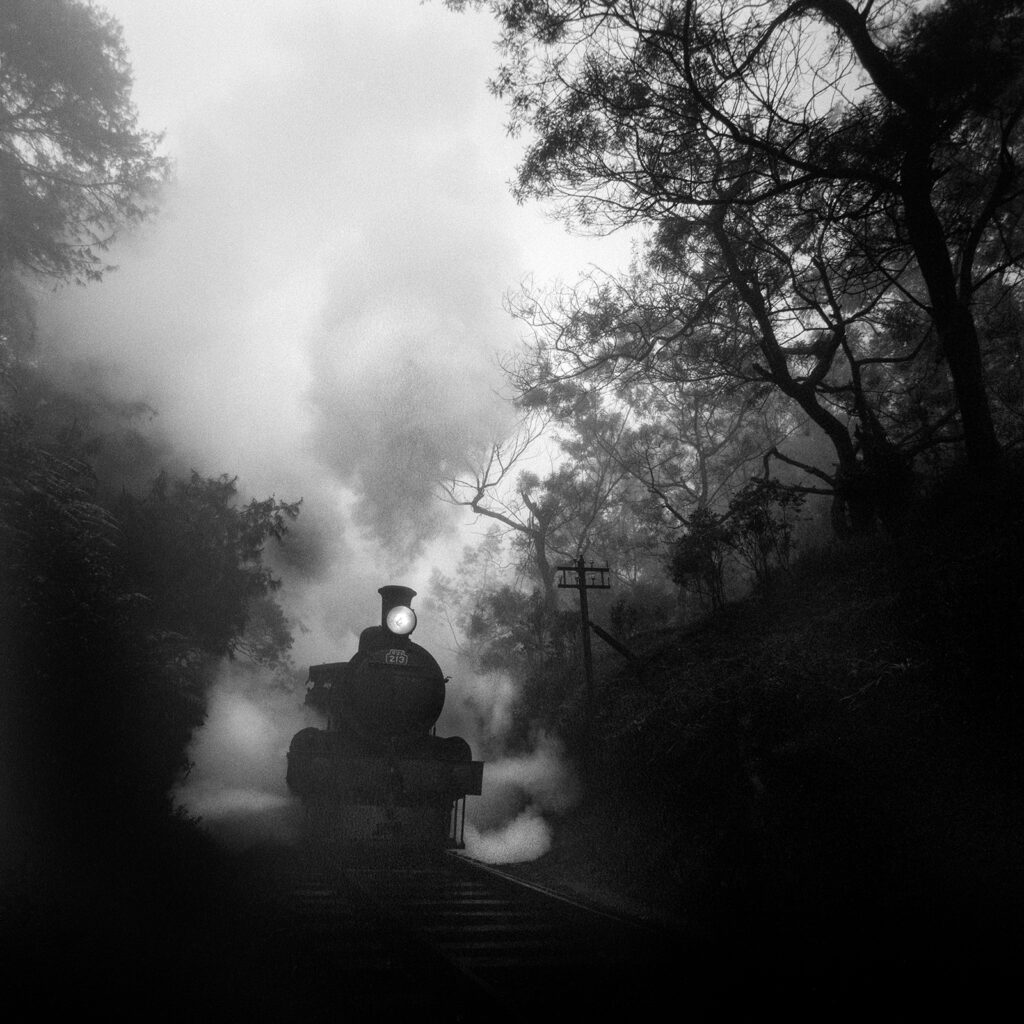  Pietro Pietromarchi, Through the forest, Sri Lanka, 2018