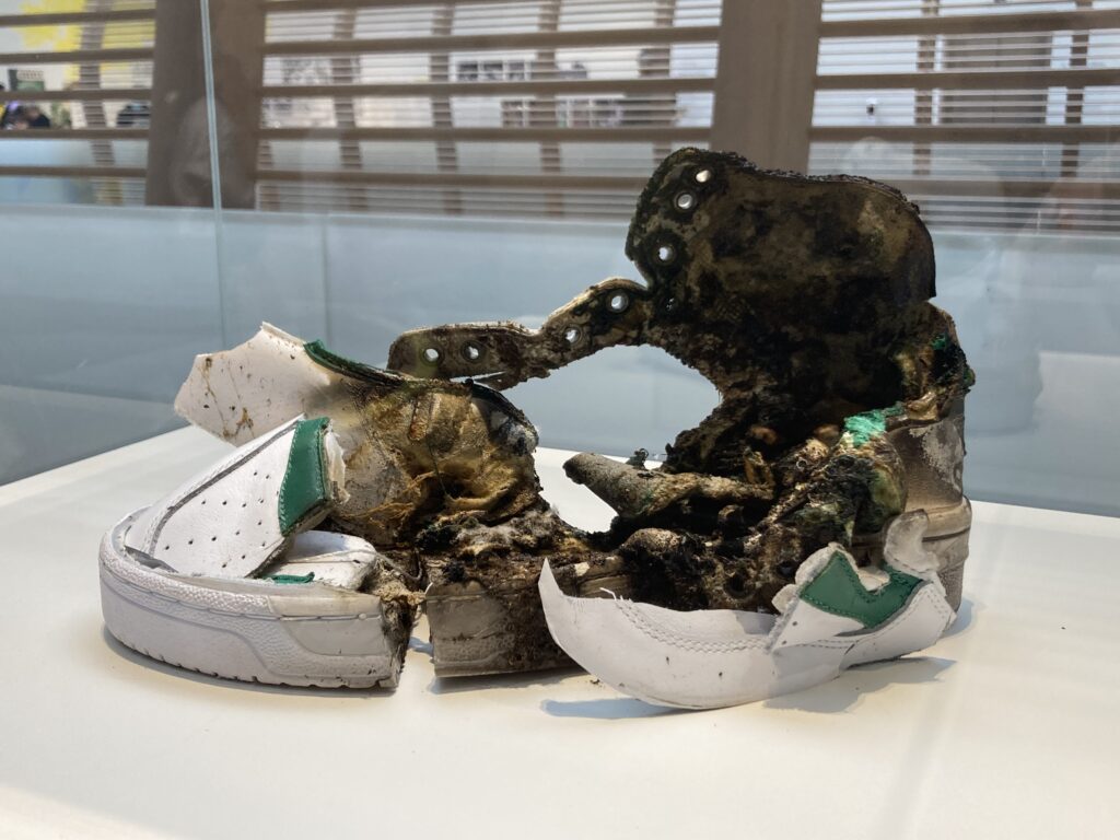 Exposition sneakers au musée de l'Homme