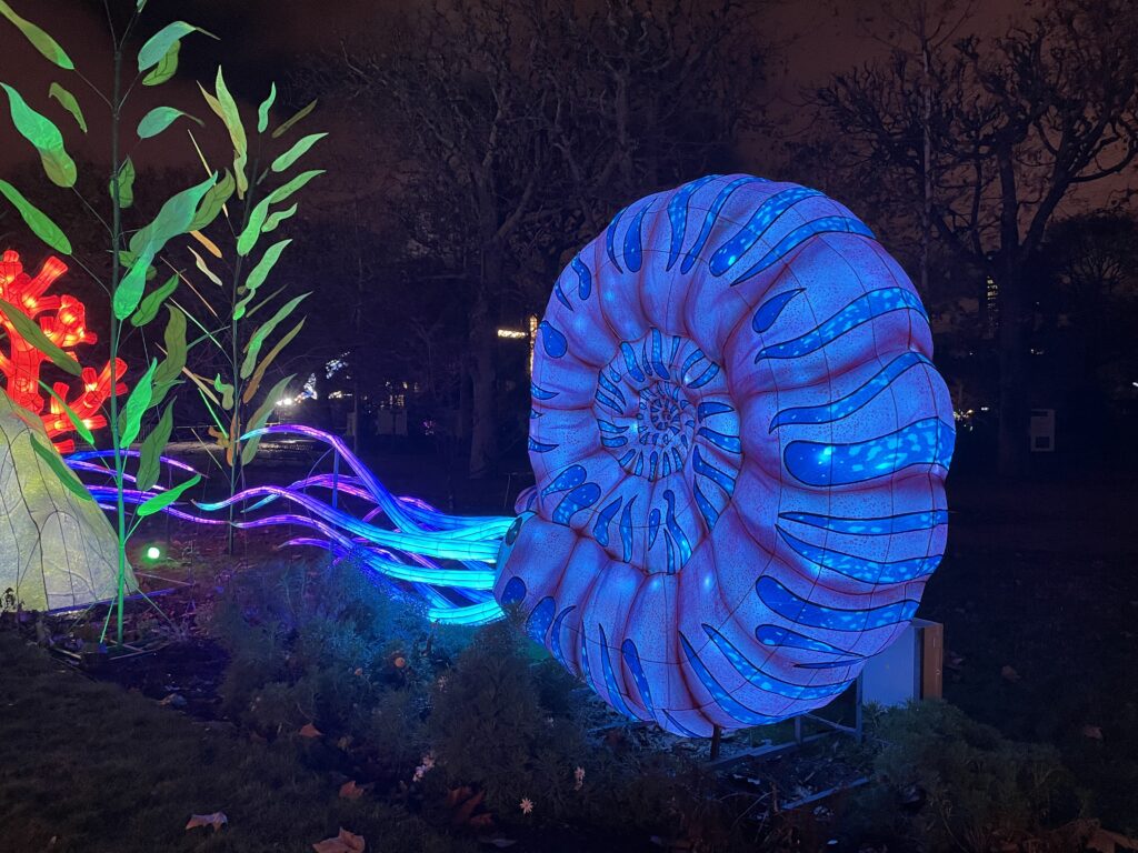 Vue d'Evolution en voie d'illuminations, Jardin des Plantes 