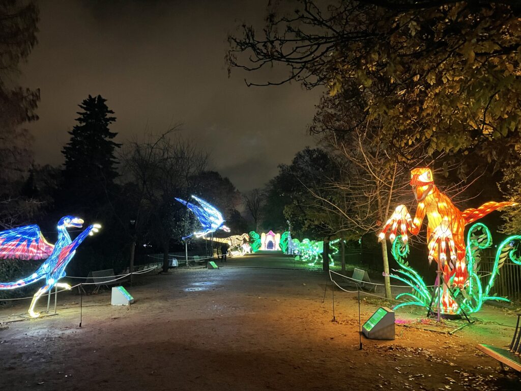 Vue d'Evolution en voie d'illuminations, Jardin des Plantes 