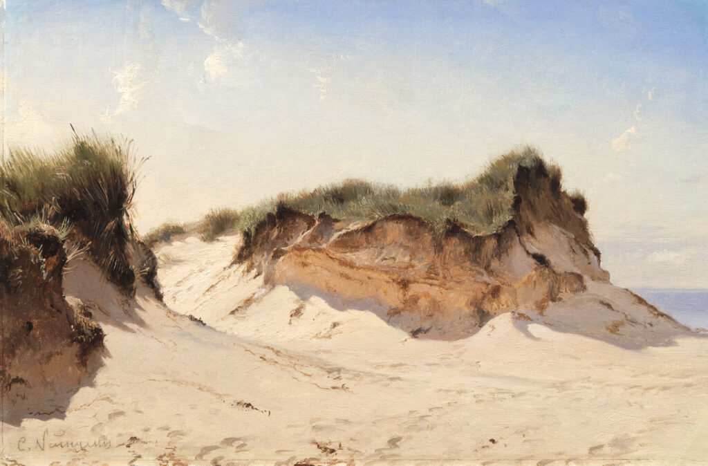 Johan Carl Neumann, Dunes de sable sur la plage de Skage