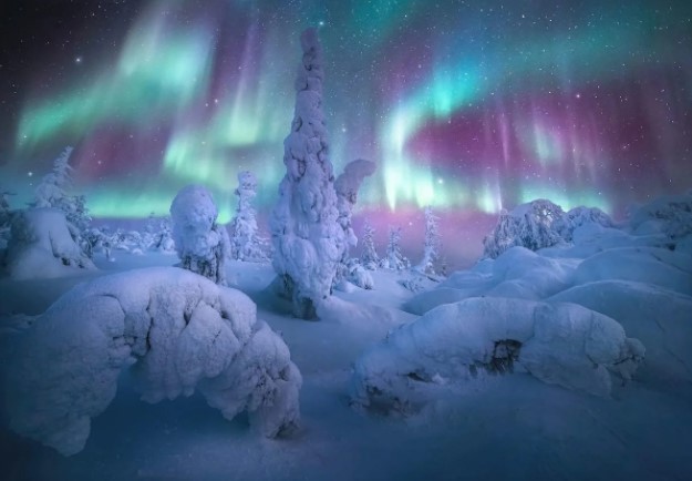 Alaska, USA - Marc Adamus