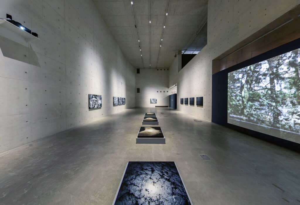 Eric Bourret, Exposition Xie Zilong Art Museum, Chine, 2019 