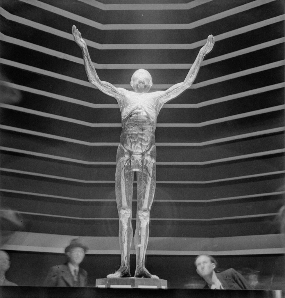 Gaston Paris, « L’homme de verre », Exposition universelle de 1937, Paris
