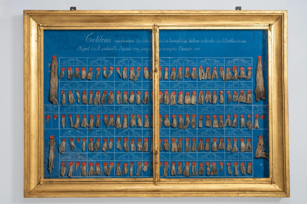 Tableaux d’échantillons de laine de mérinos 1786-1996.