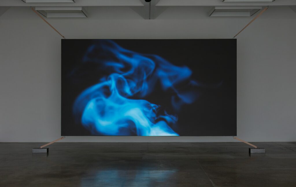 Mika Tajima, installation Psycho Graphics, 2019