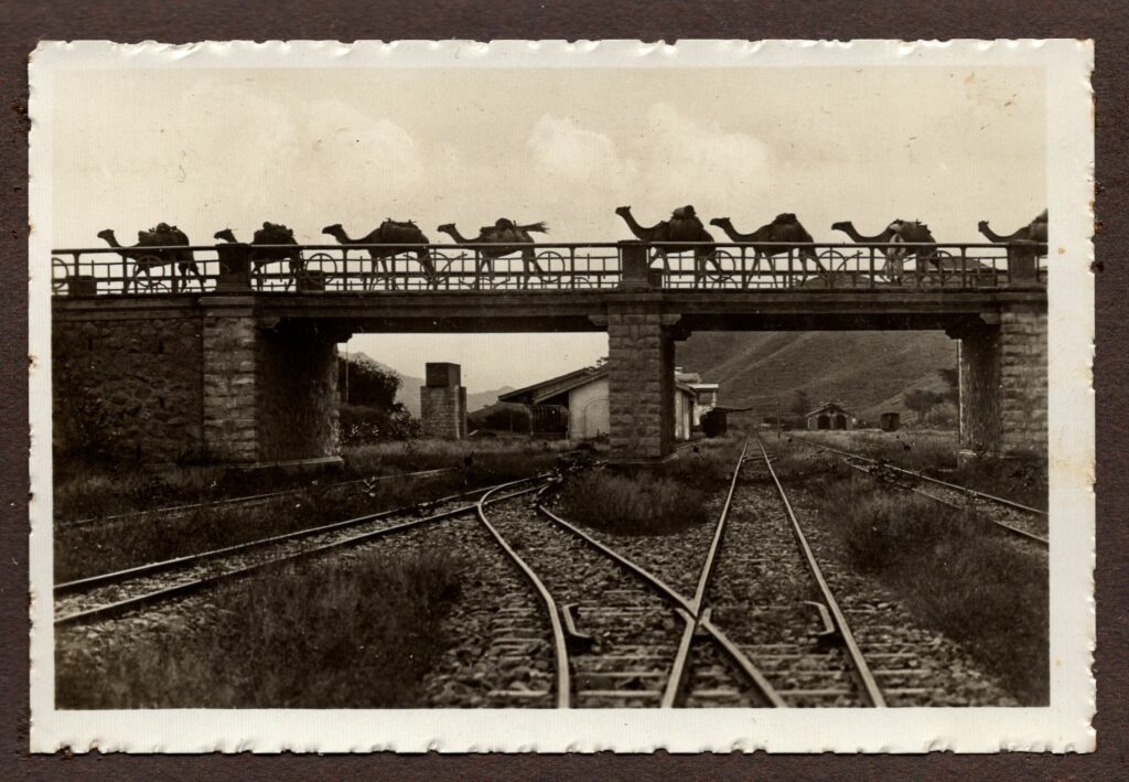Pont Kerem et dromadaires, 1935