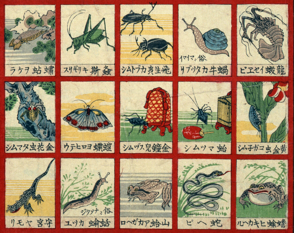 Insectes et autres petites bêtes, nouvelle édition,1894