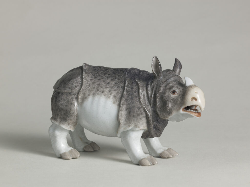  Le rhinoceros Clara