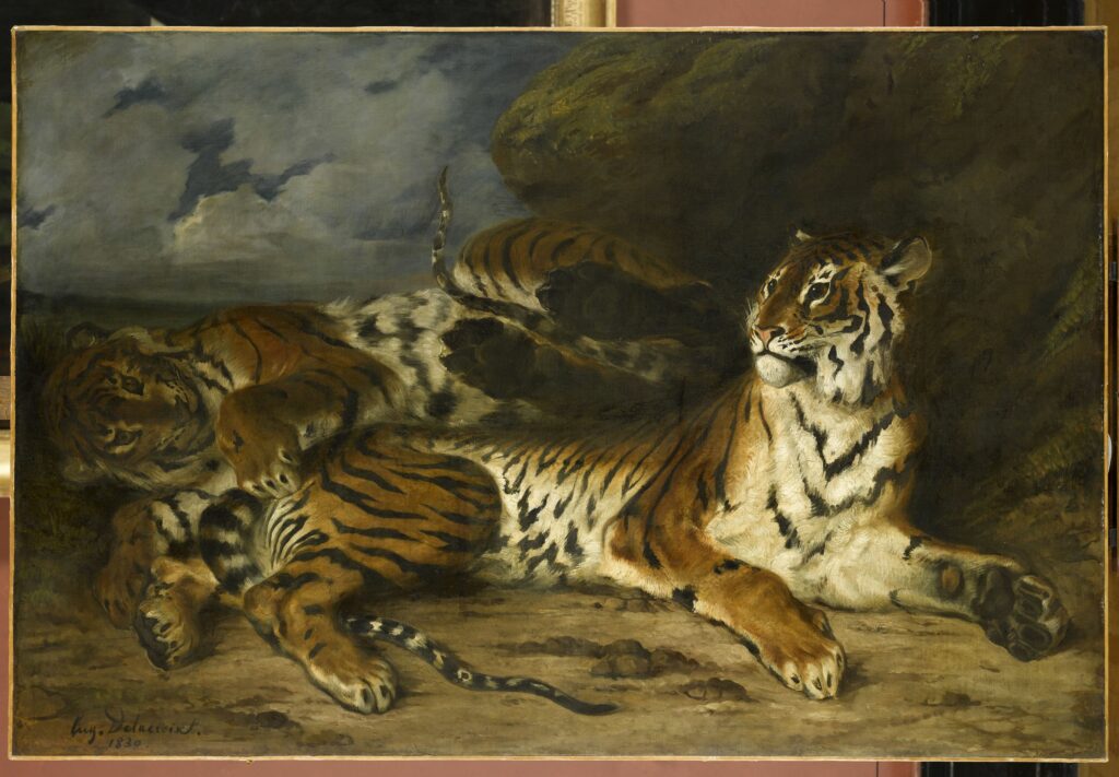 Eugène Delacroix, Etude de deux tigre ou Jeune tigre jouant avec sa mère