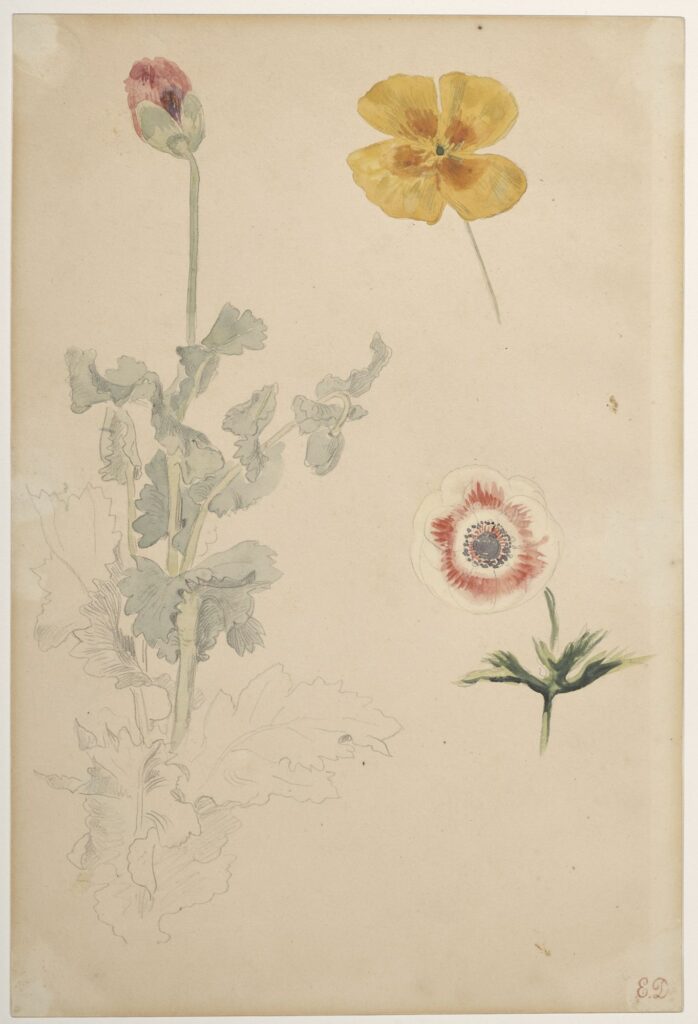 Eugène Delacroix, Etude de fleurs