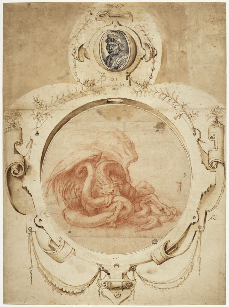 Andrea del Sarto, Dragon dévorant un serpent. En partie haute du montage, Portrait d’Andrea del Sarto 