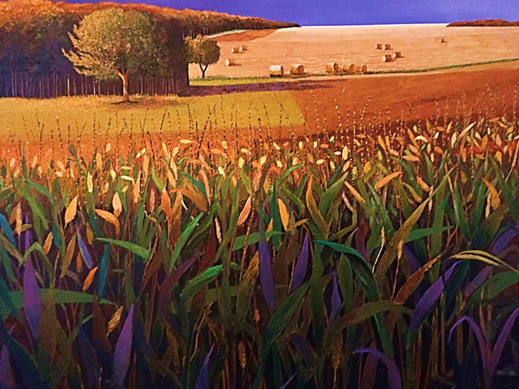 Jean-Luc Messin, Jeu de couleurs dans champs de maïs