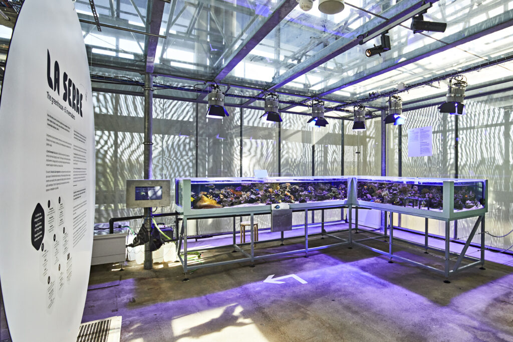 Vue de l'exposition Bio-Inspirée, Cité des sciences et de l'industrie