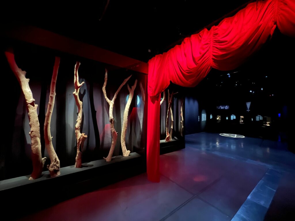 Vue de l'exposition Magique au Musée des Confluences de Lyon