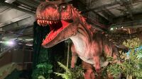 Exposition le temps des dinosaures-paris expo portes de versailles - vue de l'exposition (3)
