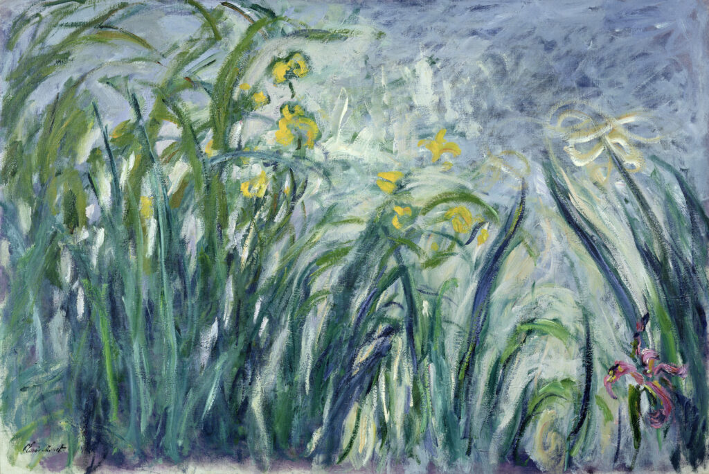 .Claude Monet Iris jaunes et mauves, vers 1924-1925 