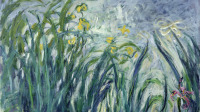 MMT169490 
Credit: Yellow and Purple Irises, 1924-25 (oil on canvas) by Claude Monet (1840-1926)
Musee Marmottan, Paris, France/ The Bridgeman Art Library
Nationality / copyright status: French / out of copyright