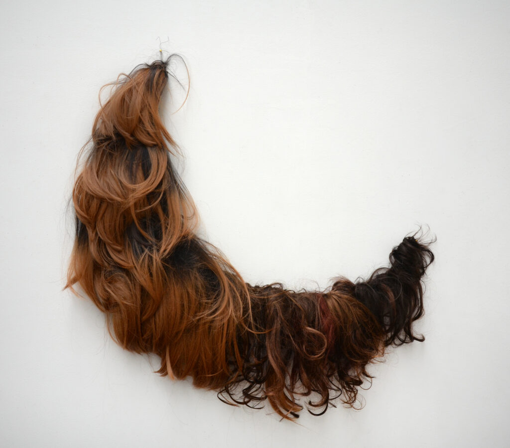 Annette Messager, Lune-cheveux, 2016