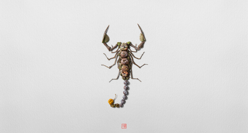 Raku Inoue, série Natura Insects