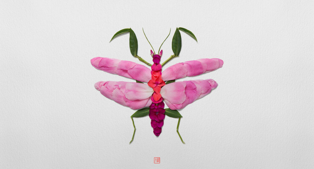 Raku Inoue, série Natura Insects