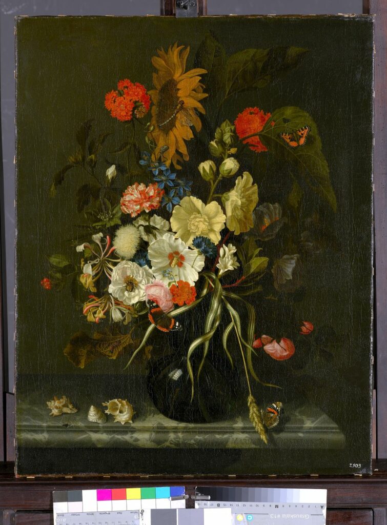 Nature morte fleurs et coquilles, 1685