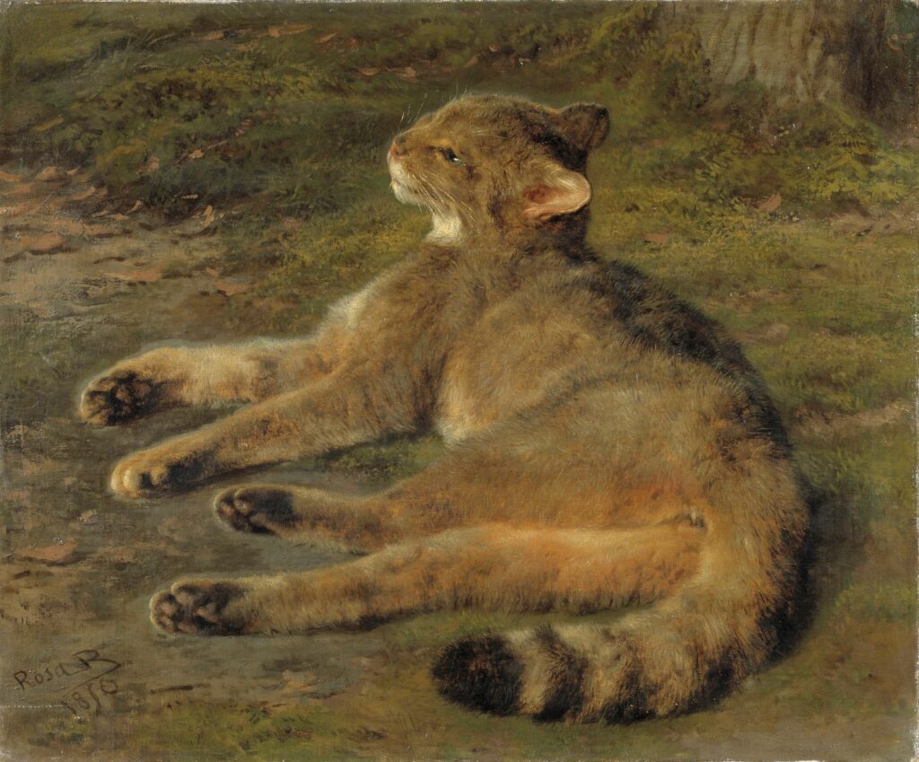 Rosa Bonheur, Chat sauvage, 1850