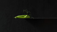 Petit pois