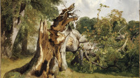Exposition-Paysages-Louvre Lens-Alexandre Calame, Arbre brisé au Kerket, près de Meyringen (Oberland bernoisd), 1800-1900