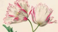 Image-Home-sdd-2023 copie
