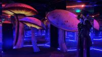 Vue de l'exposition-Le Labyrinthe-Tim Burton-La Villette (18)