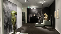 Exposition Guino-Renoir - musée Hyacinthe Rigaud - - La couleur de la sculpture (8)
